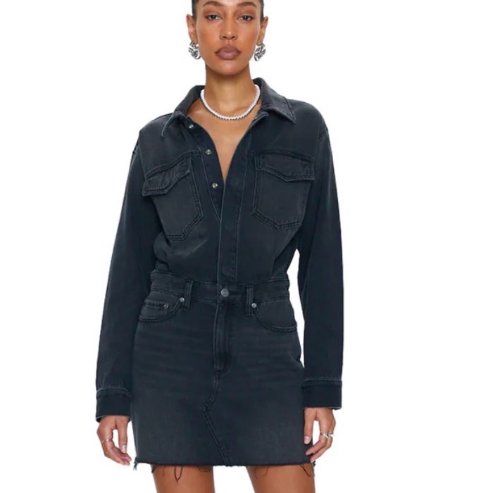 Pistola Nina Long Sleeve Mini Dress In Station